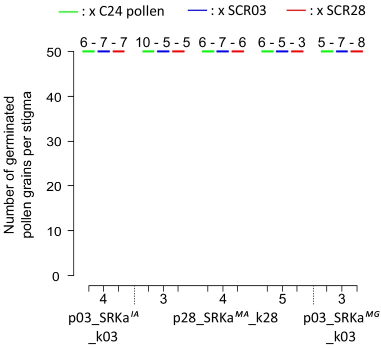 Figure 3—figure supplement 4.