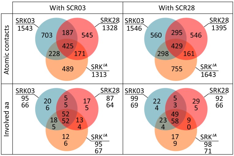 Figure 6—figure supplement 1.