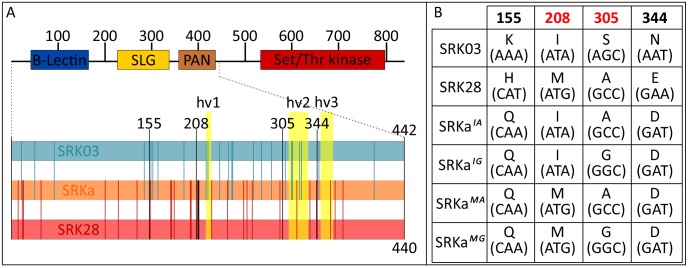 Figure 3—figure supplement 1.