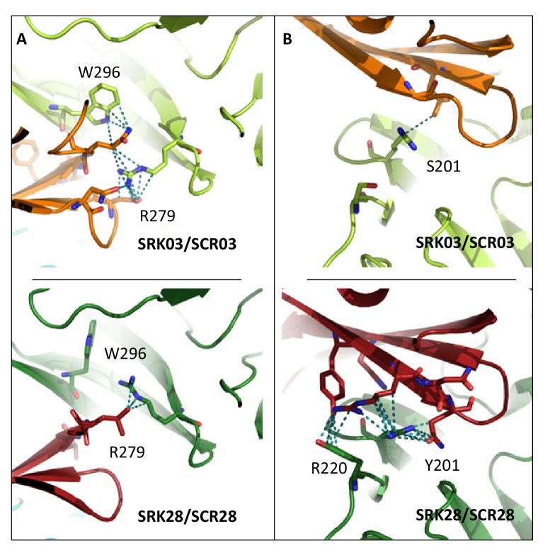 Figure 5.