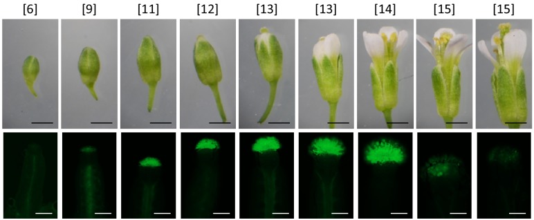 Figure 2—figure supplement 2.