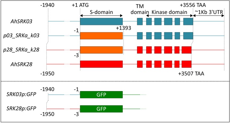 Figure 1—figure supplement 3.