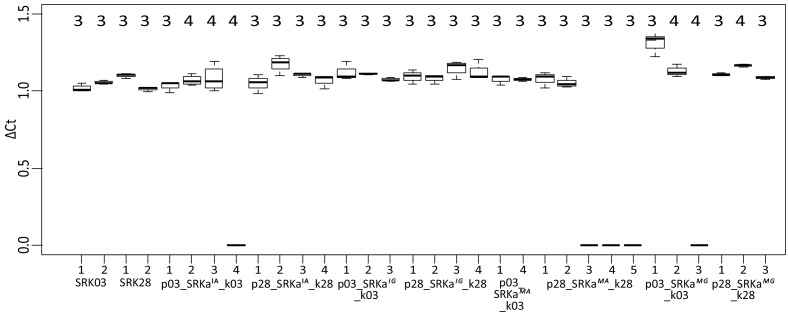 Figure 3—figure supplement 3.