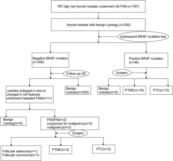 Fig 1.