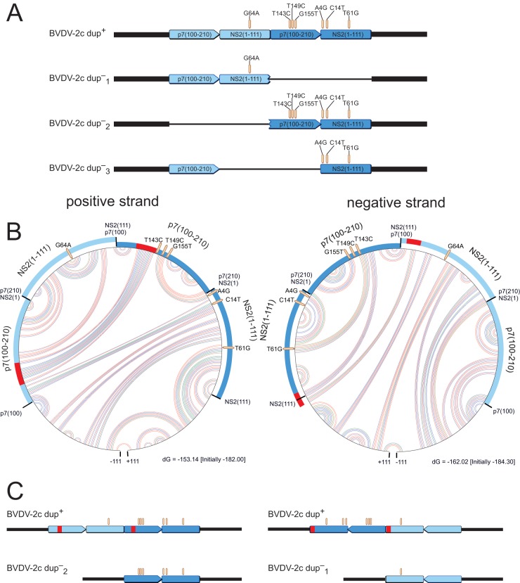 FIG 4