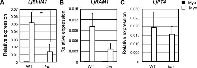 Fig 8