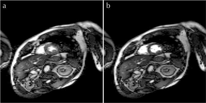 Fig. 9