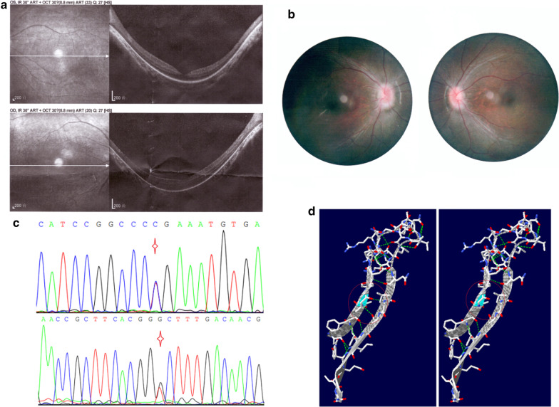 Fig. 4