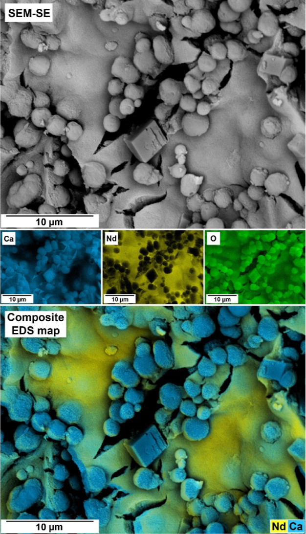 Figure 10