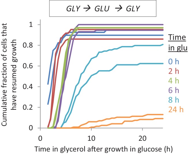 Figure 1—figure supplement 2.