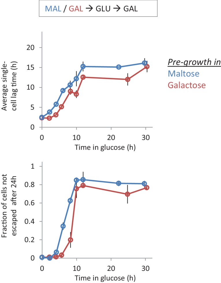 Figure 2—figure supplement 2.