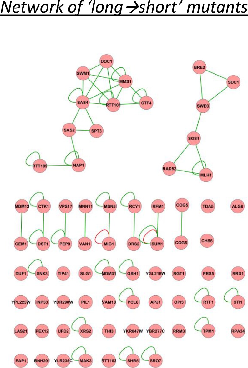 Figure 4—figure supplement 4.