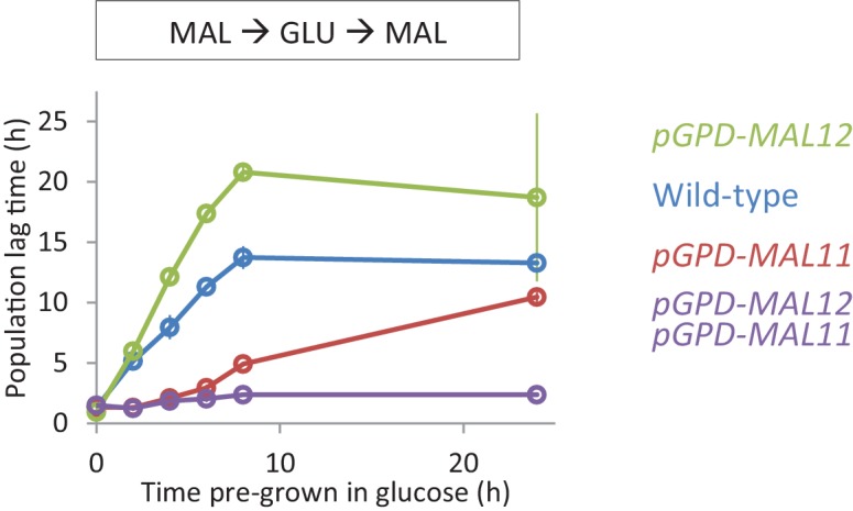 Figure 3—figure supplement 4.