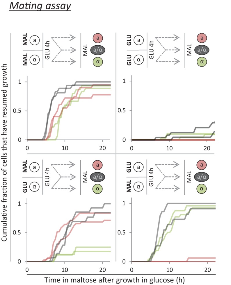 Figure 3—figure supplement 6.