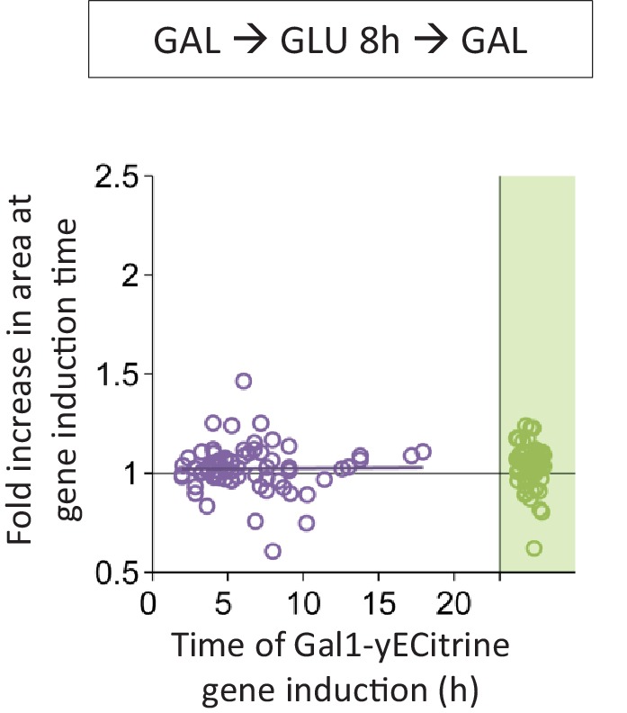 Figure 3—figure supplement 3.