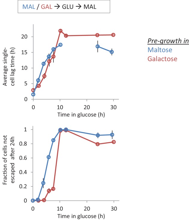 Figure 2—figure supplement 1.