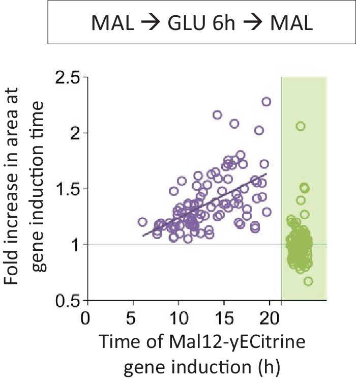 Figure 3—figure supplement 1.