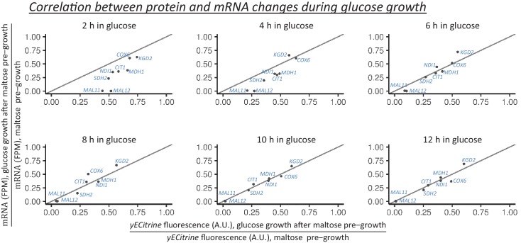 Figure 5—figure supplement 4.