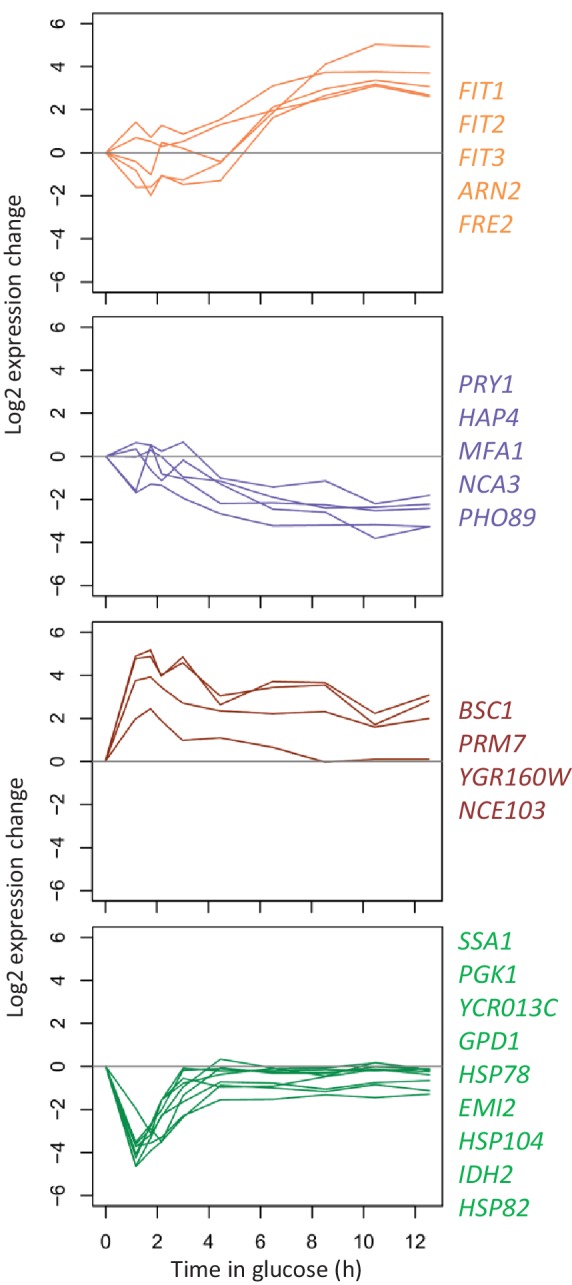 Figure 5—figure supplement 2.