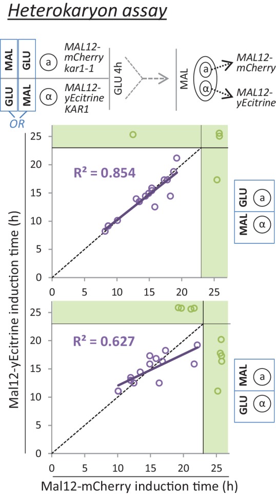 Figure 3—figure supplement 7.