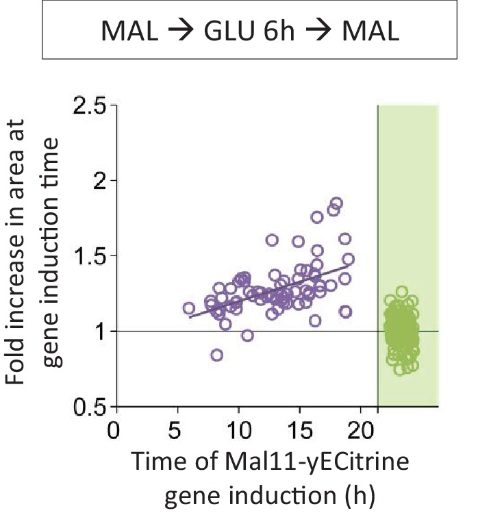 Figure 3—figure supplement 2.