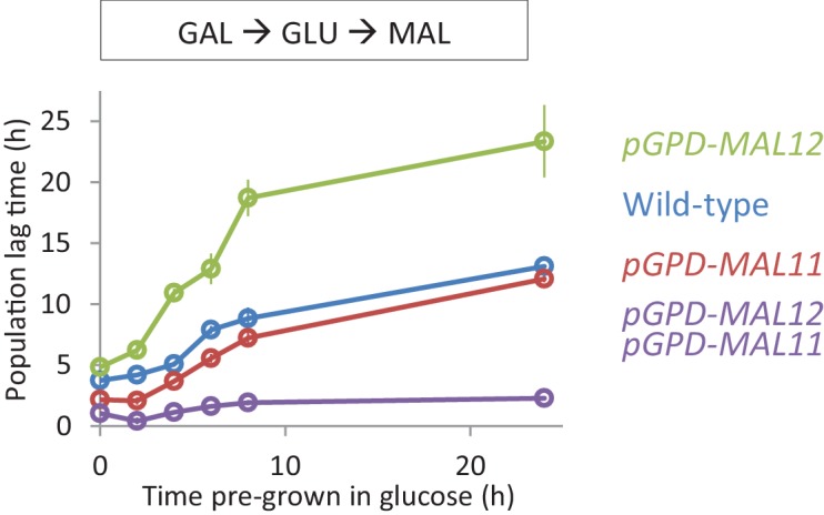 Figure 3—figure supplement 5.