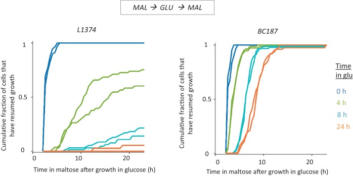 Figure 1—figure supplement 4.