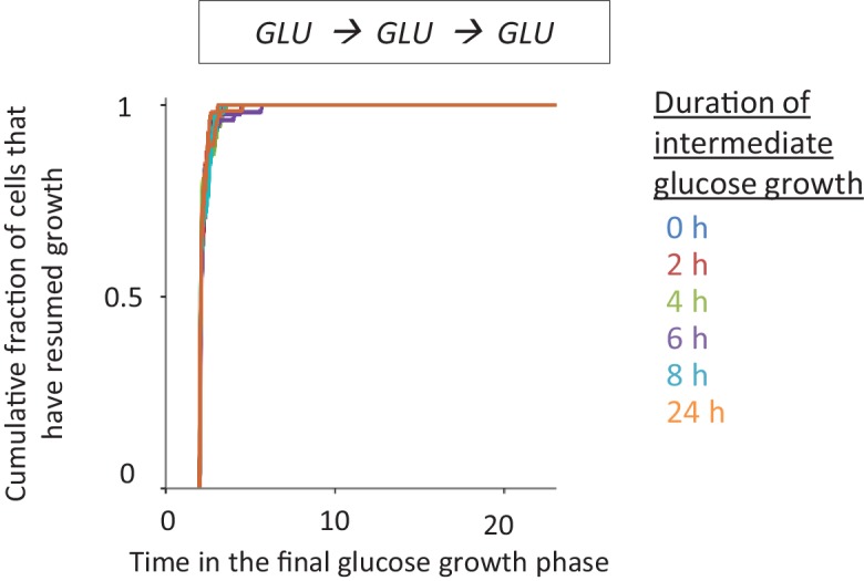 Figure 1—figure supplement 3.