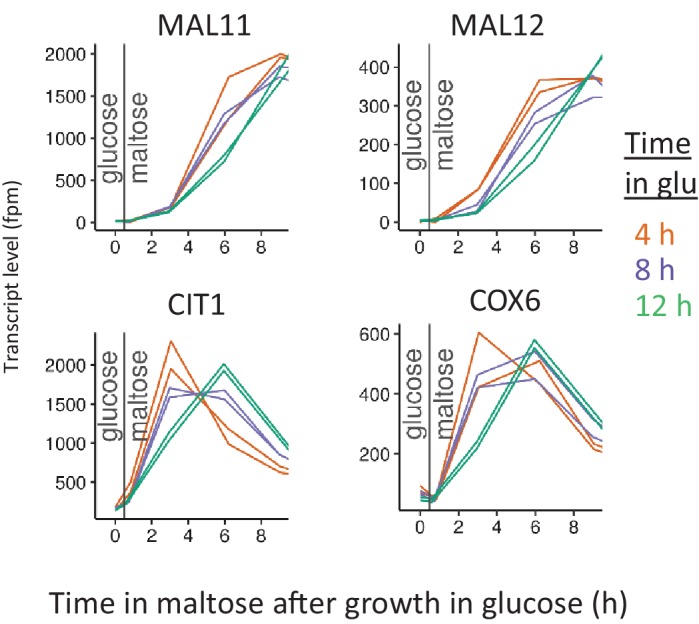 Figure 6—figure supplement 2.