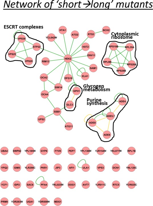 Figure 4—figure supplement 5.