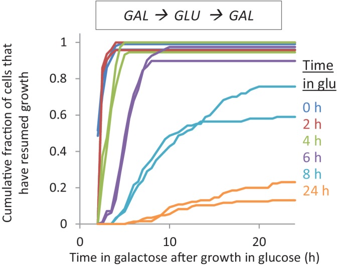 Figure 1—figure supplement 1.