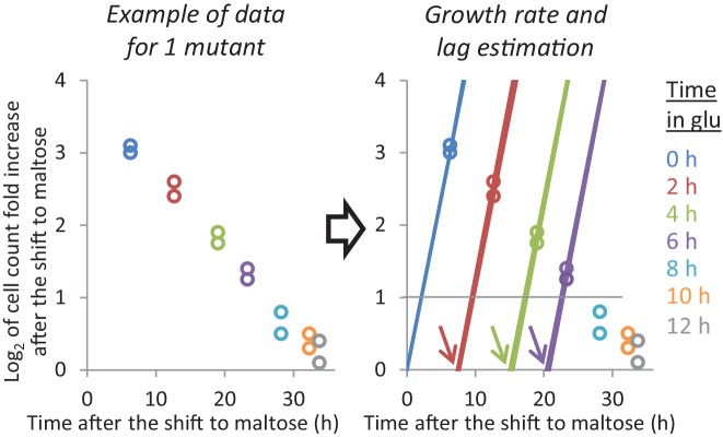 Figure 4—figure supplement 2.