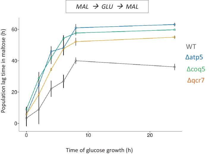 Figure 4—figure supplement 6.