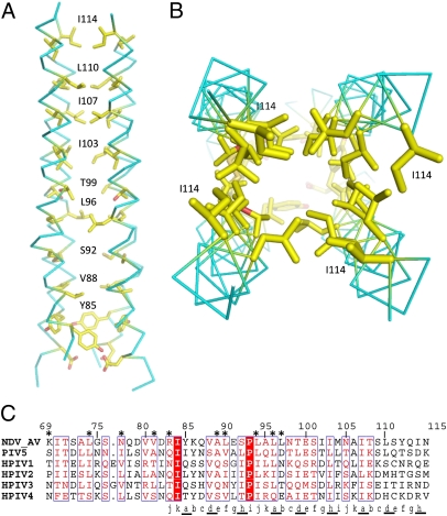 Fig. 3.