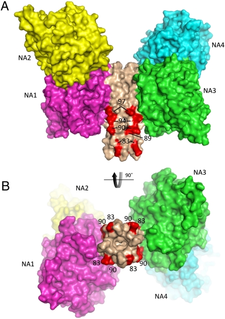 Fig. 4.