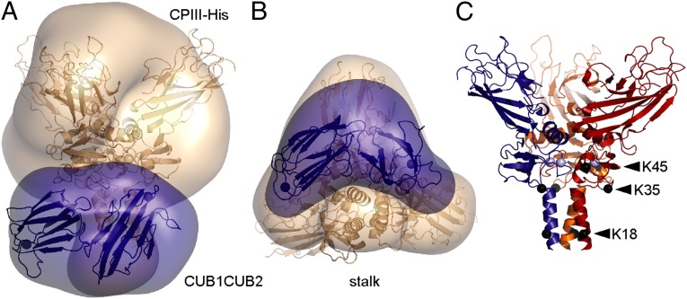 Fig. 2.