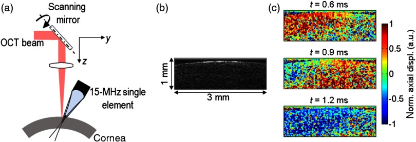 Fig. 8