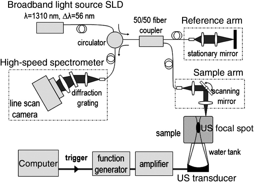 Fig. 1