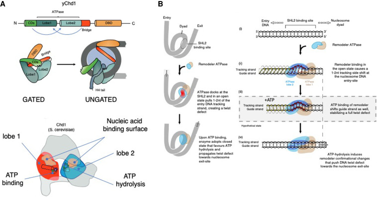 Figure 2.