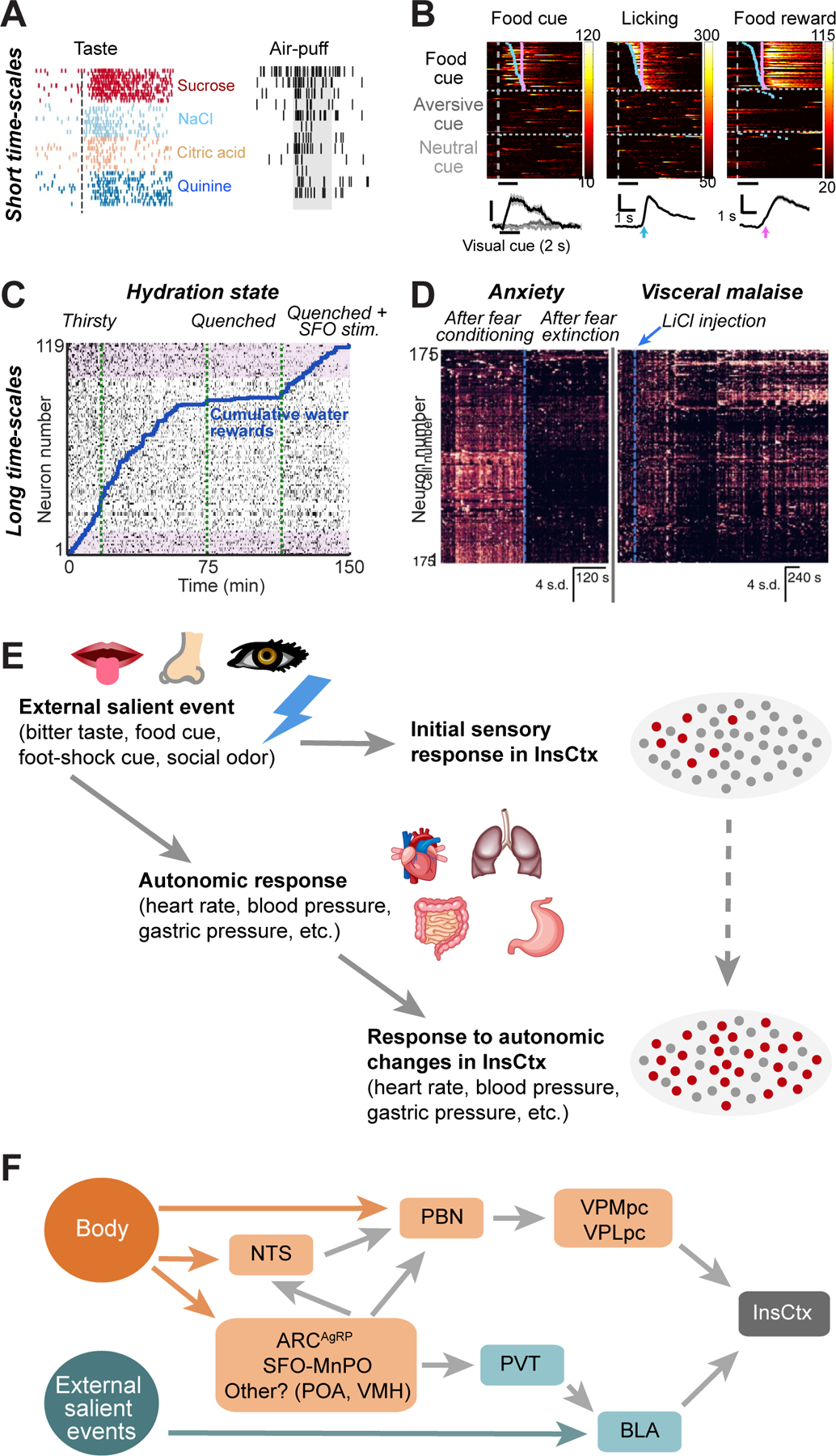 Figure 2: