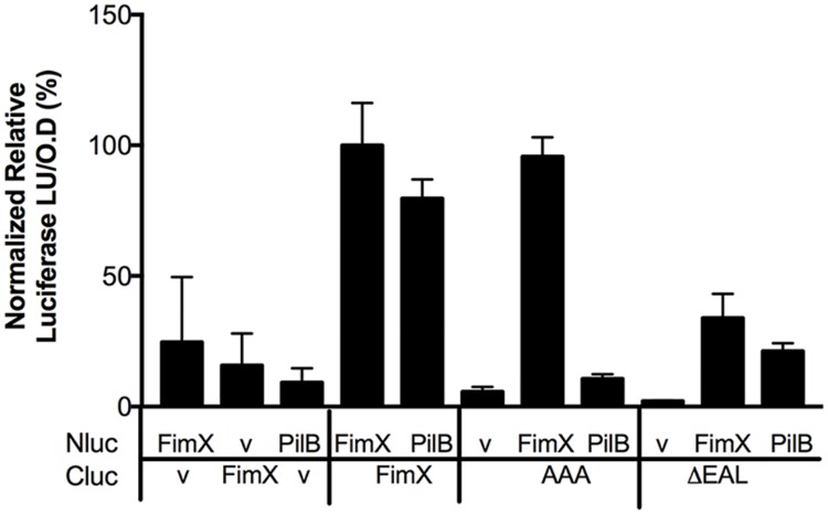 Fig 8