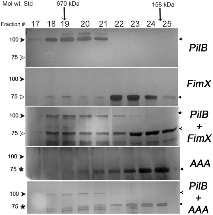 Fig 9