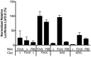 Fig 8