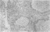 510