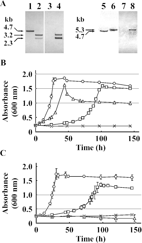 FIG. 5.