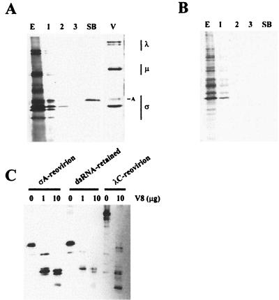 FIG. 6