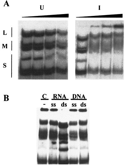 FIG. 5