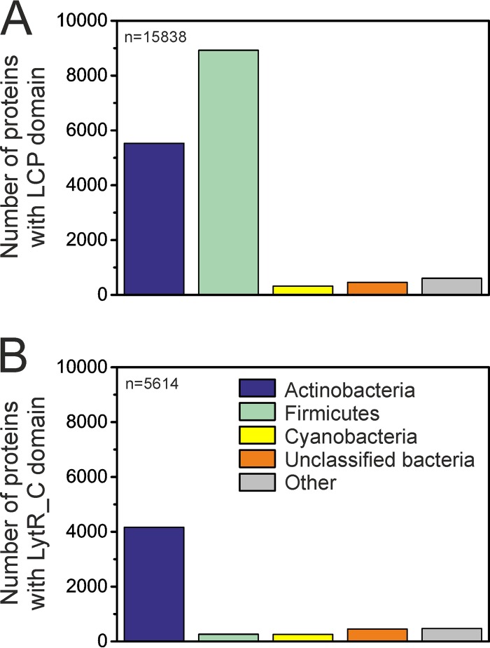 FIG 6