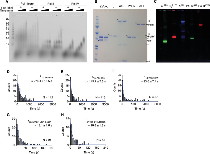 Figure 1—figure supplement 1.