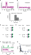 Figure 2—figure supplement 1.